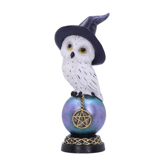 Nemesis Now Owl s Charm 21cm