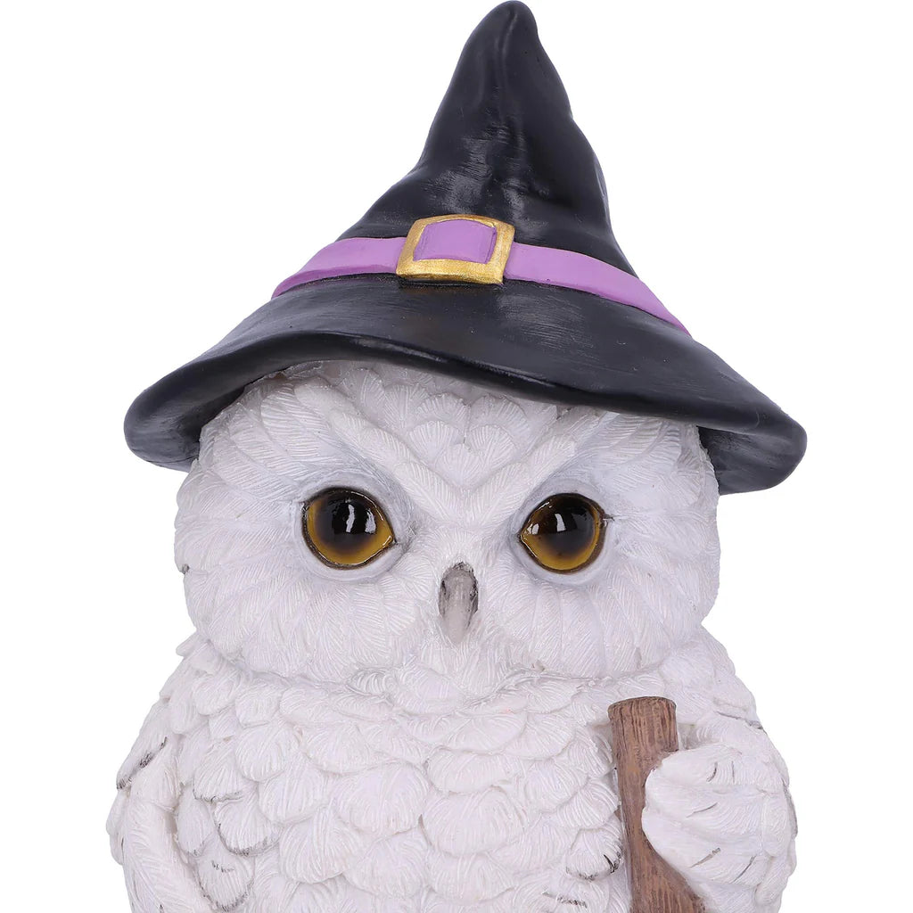 Nemesis Now Snowy Magic Witch Owl Familiar Figurine, White, 18cm