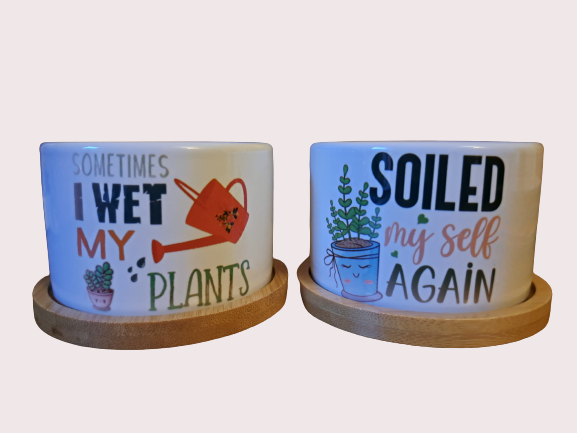 Set of 2 Small Novelty Plant Pots