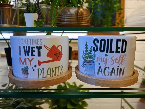 Set of 2 Small Novelty Plant Pots