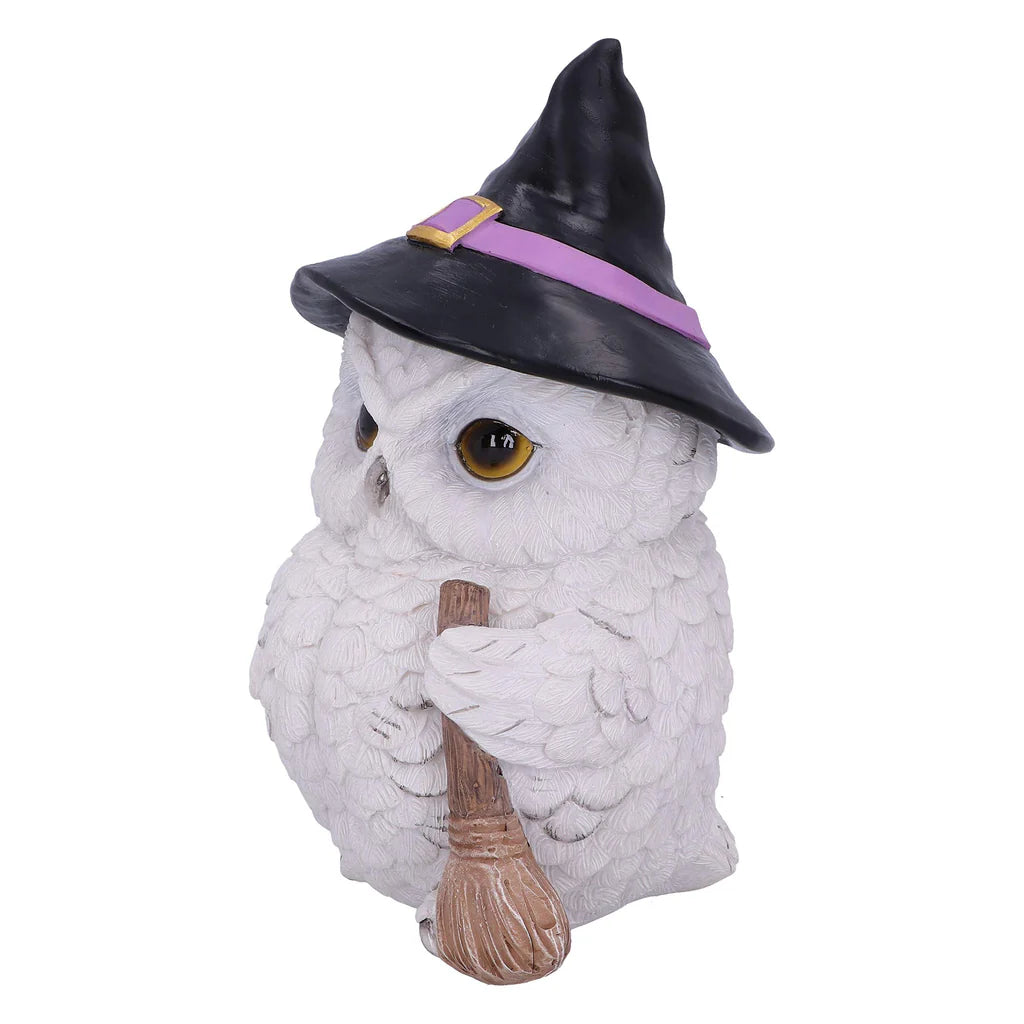 Nemesis Now Snowy Magic Witch Owl Familiar Figurine, White, 18cm