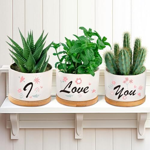 Ceramic Succulent Plant Pots Gifts for Girlfriend/Wife, 3 Pack