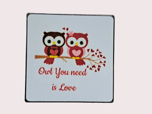 Cute "Owl You Need is Love" Fridge Magnet